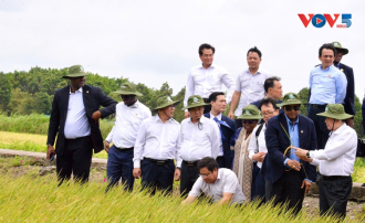 ສສ ຫວຽດນາມ-ກົດດີວົວ ຊຸກຍູ້ການຮ່ວມມືໃນຂົງເຂດກະສິກຳ