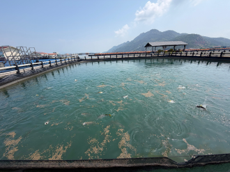 From the Sea to the World: A Fujian Enterprise Story Rooted in People-Centered Development