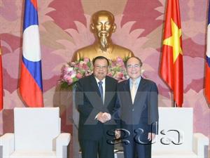 Vietnamese NA Chairman meets Lao Vice President