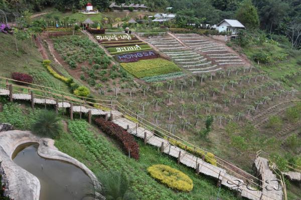 Hongsa Power Set To Be The Best Project In Laos