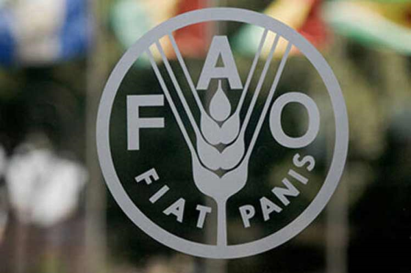 Fao Logo The Arbor Day Foundation And The Food And Agriculture